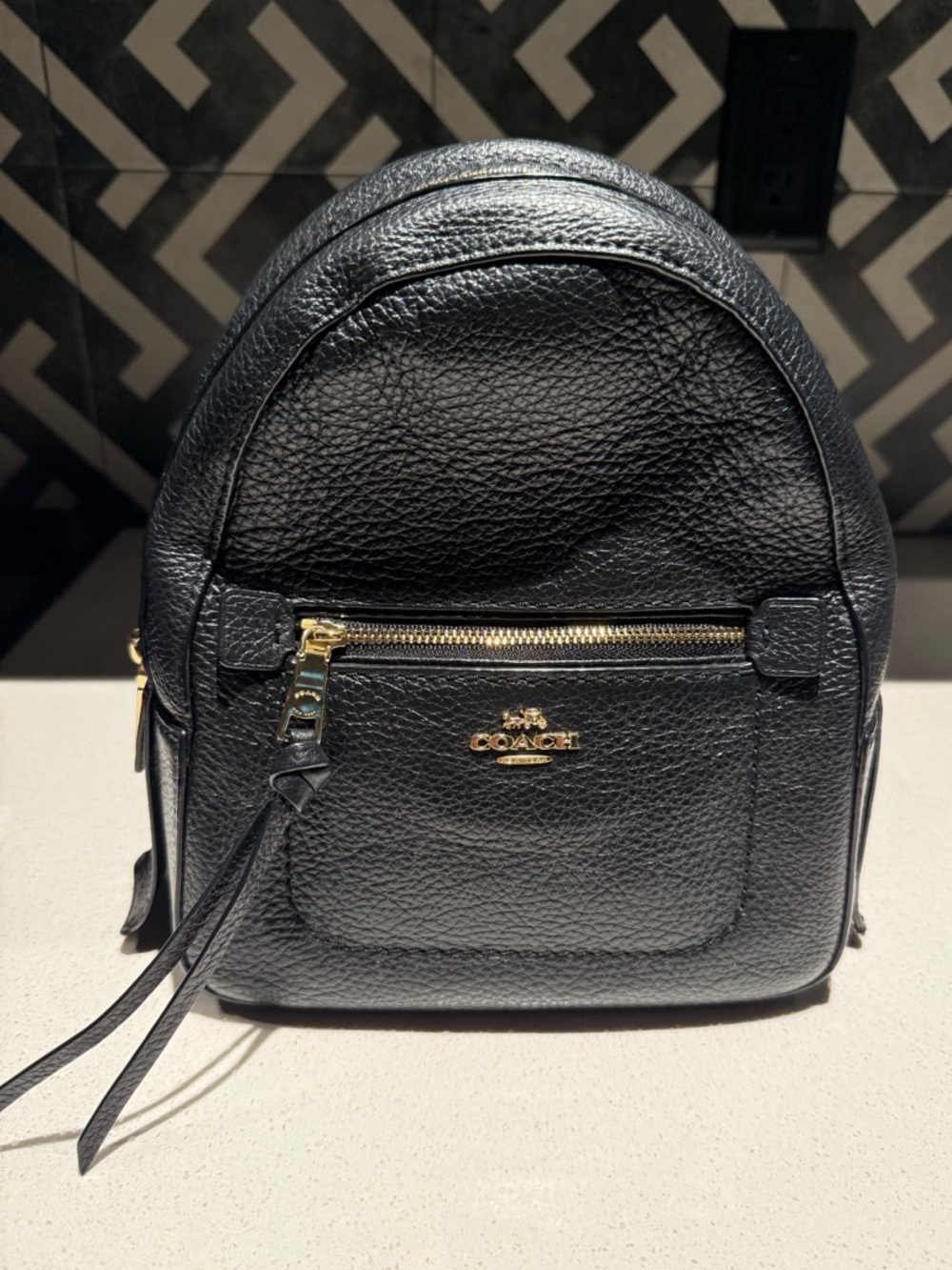 Coach Black Pebbled Leather Mini Backpack with Gold Hardware